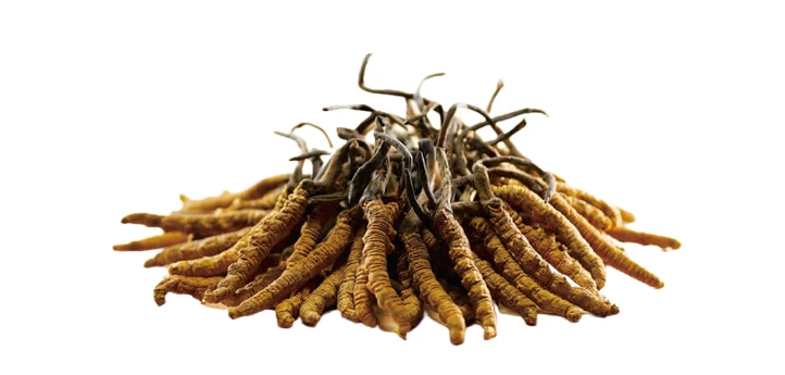 Crema ciuperca tibetana forte 75ml Dr.Green - Image 2